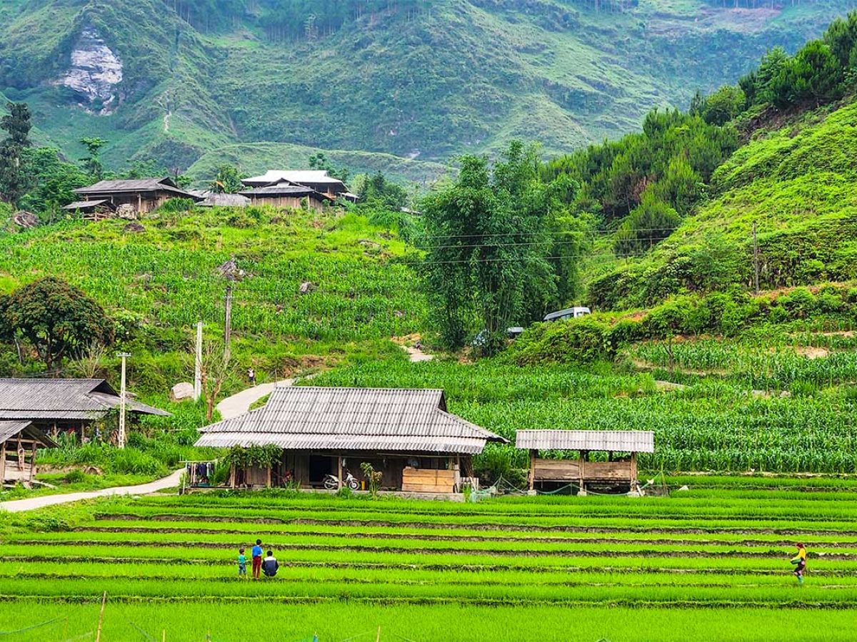 7 Hidden Gems: Must-Visit Ha Giang Loop Remote Villages You Need To See