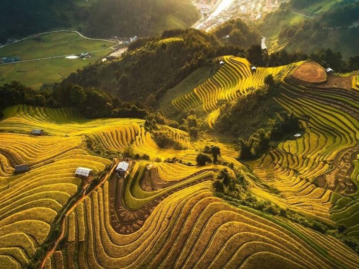 Best Time to Visit Ha Giang Loop: 4 Seasons & Why They Matter