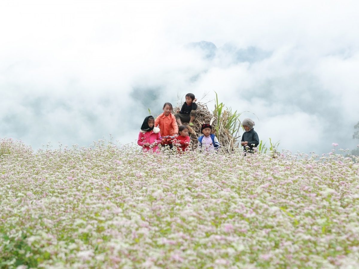 Best Time to Visit Ha Giang Loop: 4 Seasons & Why They Matter